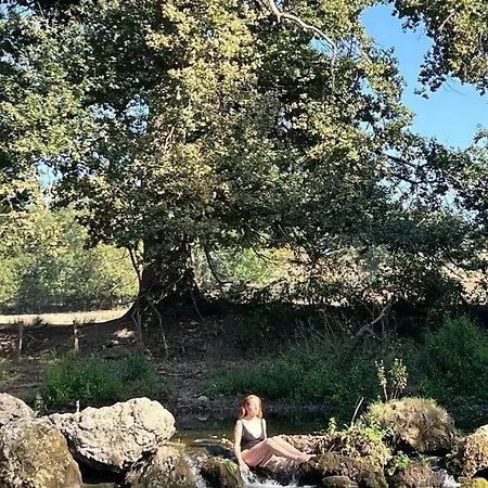 Polo Estate With A River As A Pool Near Saint-emilion Guîtres