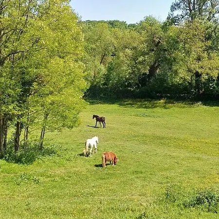 Polo Estate With A River As A Pool Near Saint-emilion *