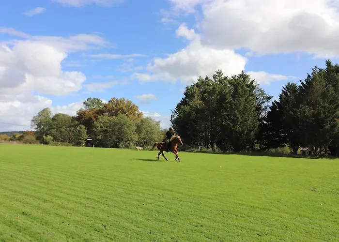 Polo Estate With A River As A Pool Near Saint-emilion
