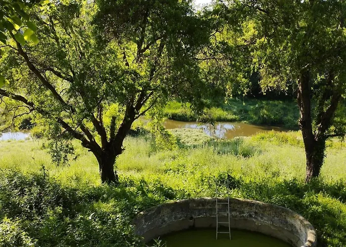 Polo Estate With A River As A Pool Near Saint-emilion *