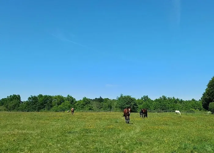 Polo Estate With A River As A Pool Near Saint-emilion