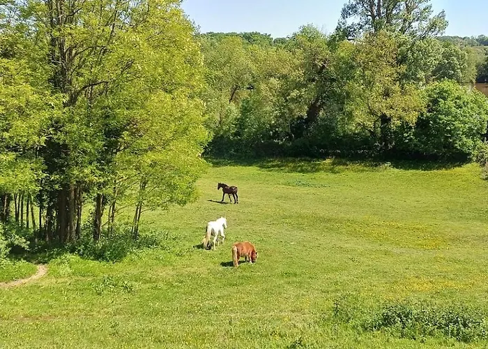 Polo Estate With A River As A Pool Near Saint-emilion *