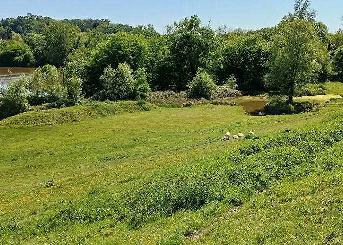 Ferienhaus Polo Estate With A River As A Pool Near Saint-emilion
